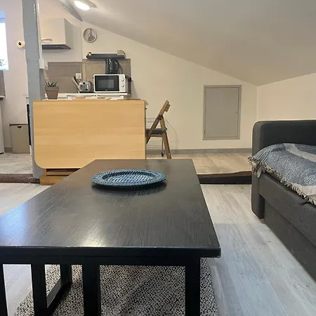 Le Terrier Apartment *