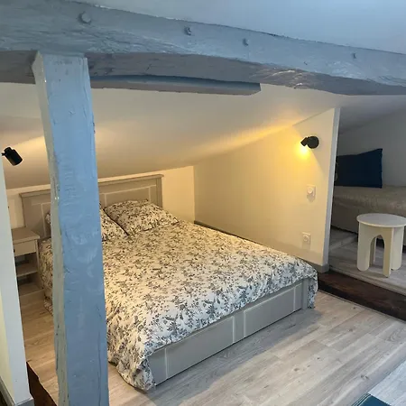 Le Terrier Apartment