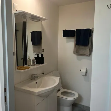 Apartment Le Terrier *