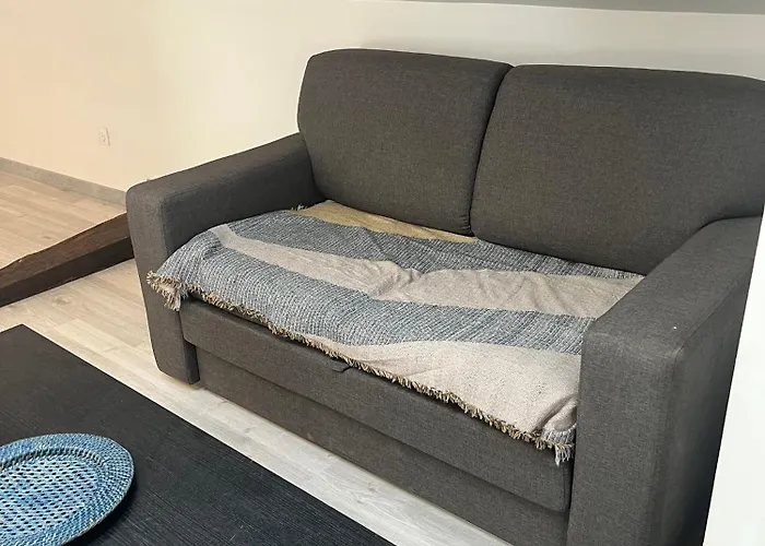 Le Terrier Apartament *