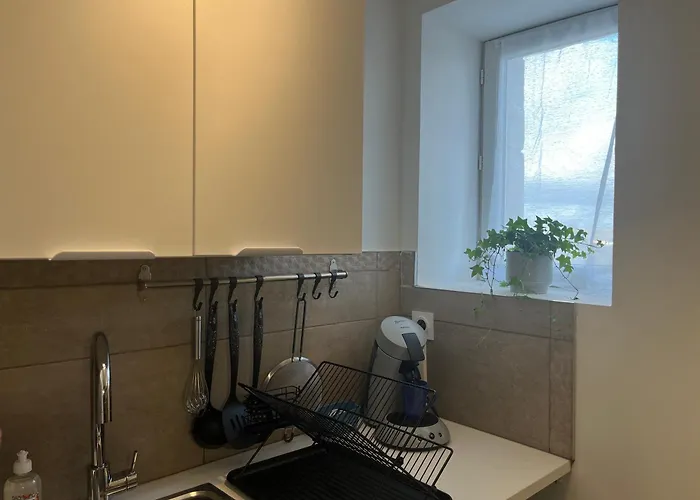 Apartament Le Terrier *