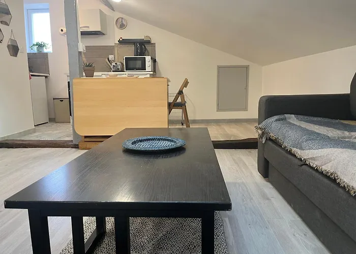 Le Terrier Apartament *