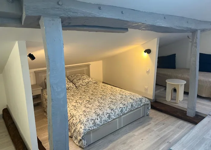 Le Terrier Apartament